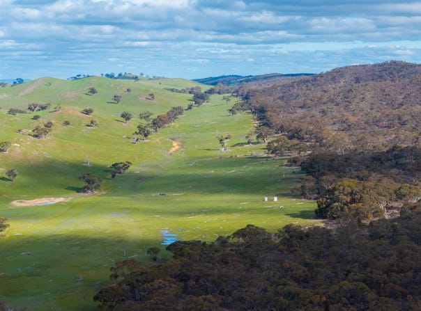 1705 Ngapala Road, Ngapala, SA 5374