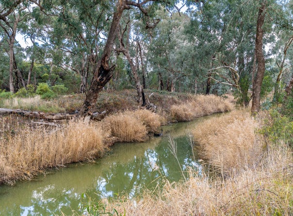 1460 Baldry Road, Baldry, NSW 2867