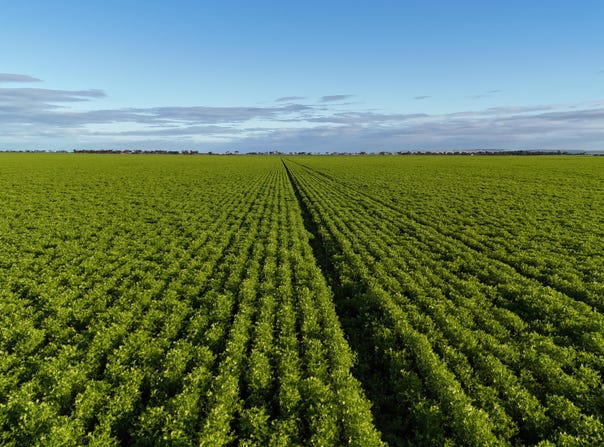 'Condowie' 1 Smitham Road, Condowie, SA 5464
