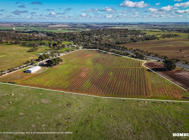43 Hempel Road, Daveyston, SA 5355