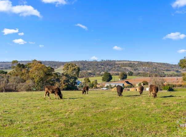 Lot 93 Jungfer Road, Charleston, SA 5244