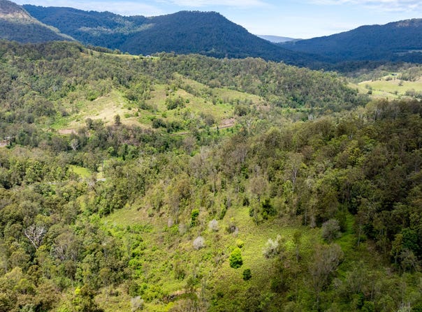 Lot 15 Gradys Creek Road, Cougal, NSW 2474