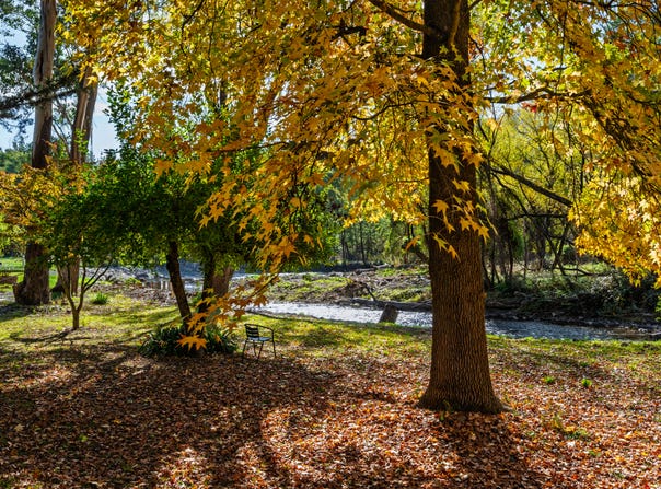 839 Great Alpine Road, Freeburgh, Vic 3741