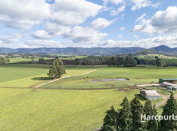 214 Mathinna Plains Road, Ringarooma, Tas 7263