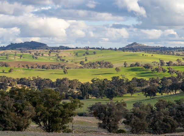 1507 Pine Mount Road, Woodstock, NSW 2793