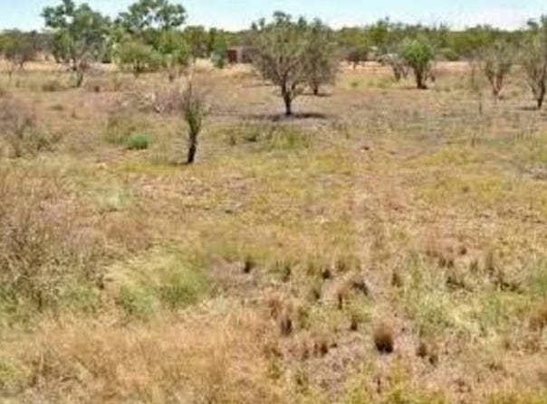 Lot 8, Sherwin Street, Angledool, NSW 2834