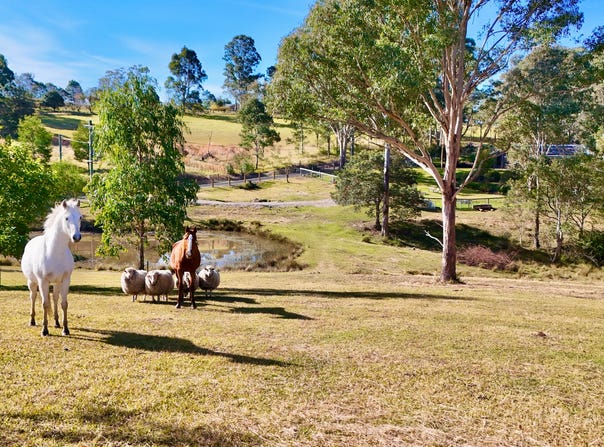 484b Comleroy Road, Kurrajong, NSW 2758