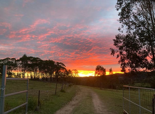 620 Tabulam Road, Lower Bottle Creek, NSW 2469