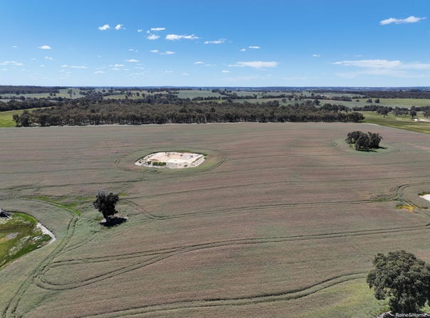 201 Jeffs Road, Jingalup, WA 6395