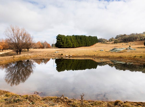 175 Tumbledown Road, Peak View, NSW 2630