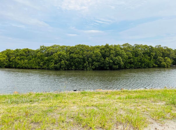 Lot 624, Island Terrace, Jacobs Well, Qld 4208