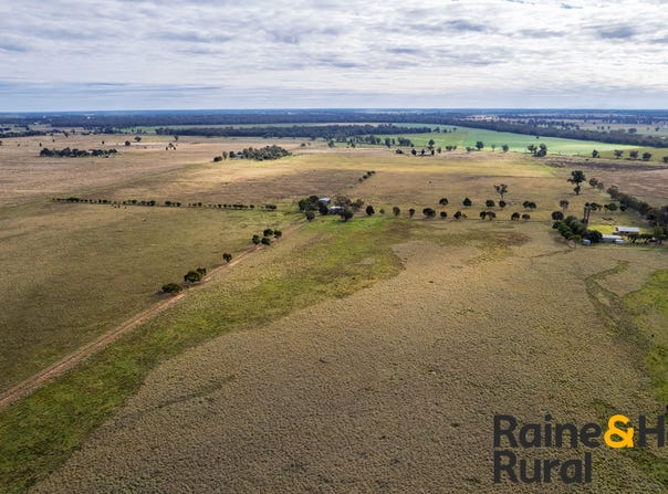 223 Ellis Road, Gilgandra, NSW 2827