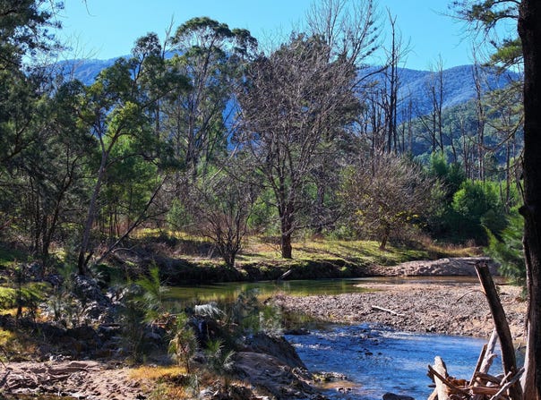 Lot 4 Araluen Road, Araluen, NSW 2622