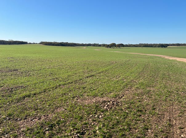 Portion of 820 Green Road, Ettrick, SA 5253
