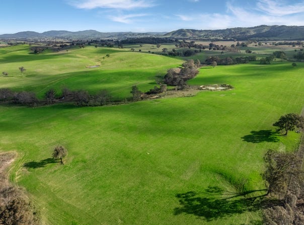 5 Chapmans Road, Glenaroua, Vic 3764