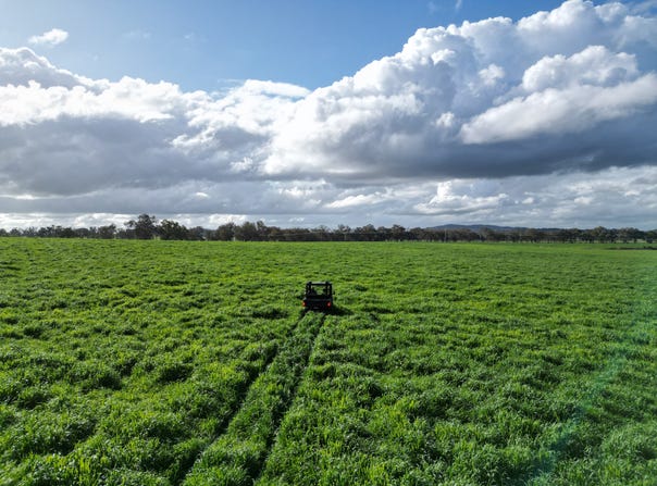 'Willowbank' Urana Road, Jindera, NSW 2642