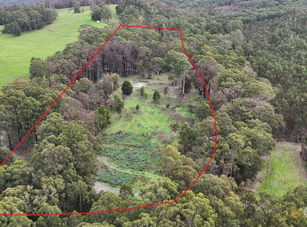 95 Wonga Road, Kawarren, Vic 3249