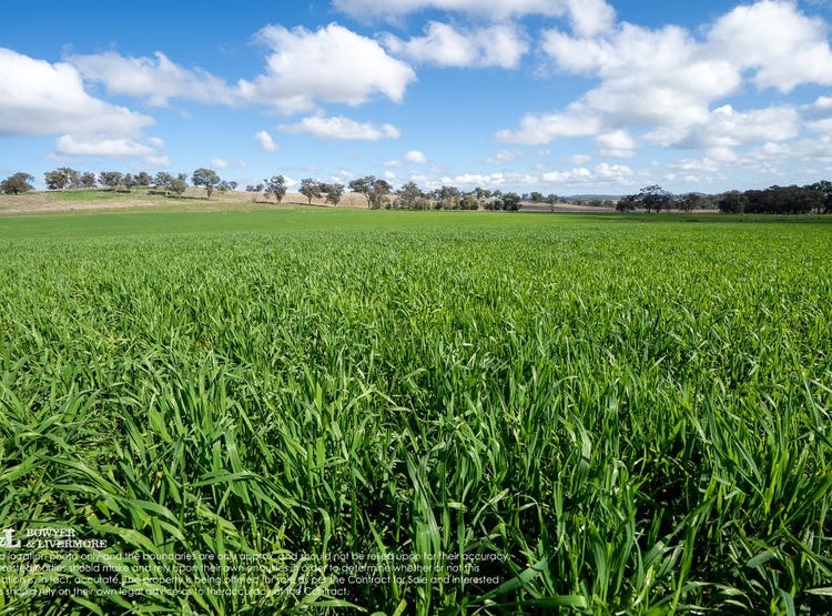 4572 Renshaw McGirr Way, Yeoval, NSW 2868 Rural for Sale