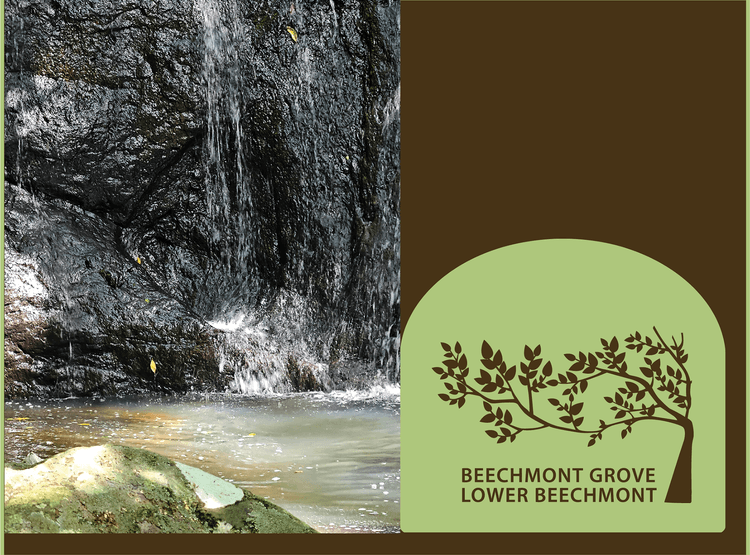 170172 North Road, Lower Beechmont, Qld 4211 Land for Sale