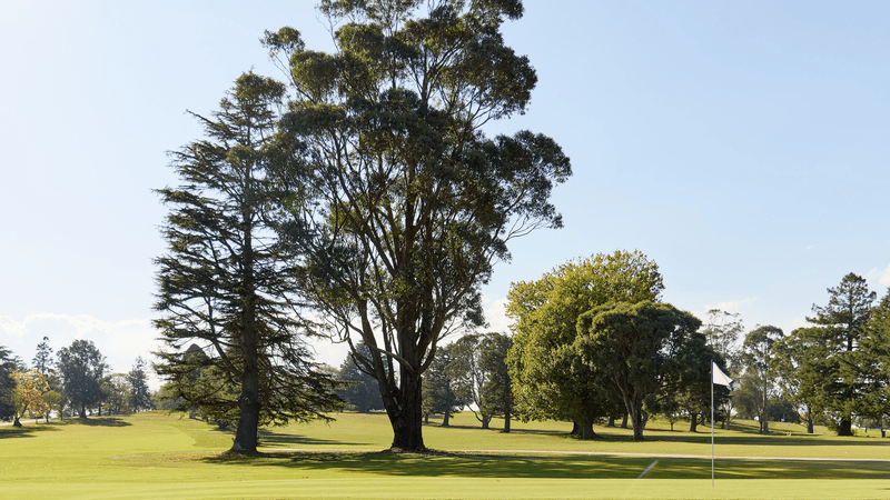 /international/au/321-copelands-road-warragul-vic-600046016/