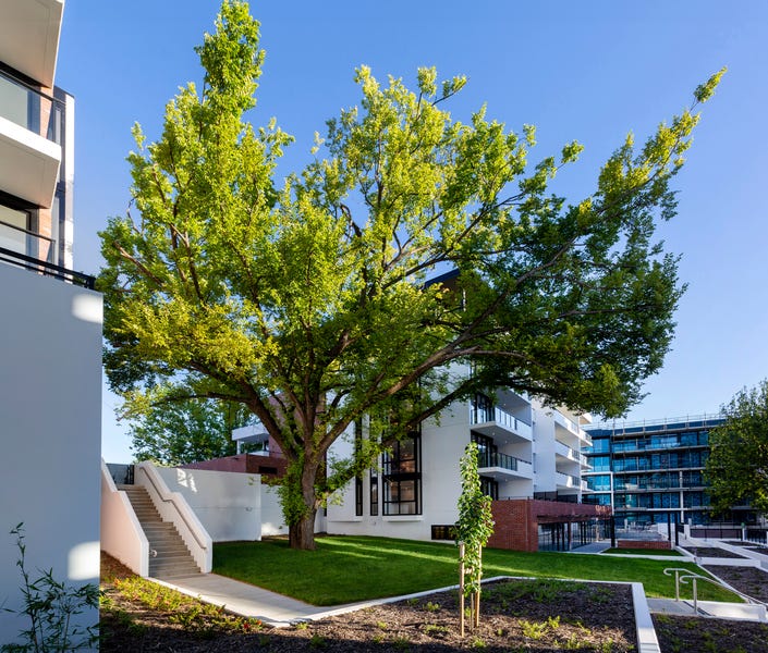 /international/au/1-light-street-griffith-act-600044160/