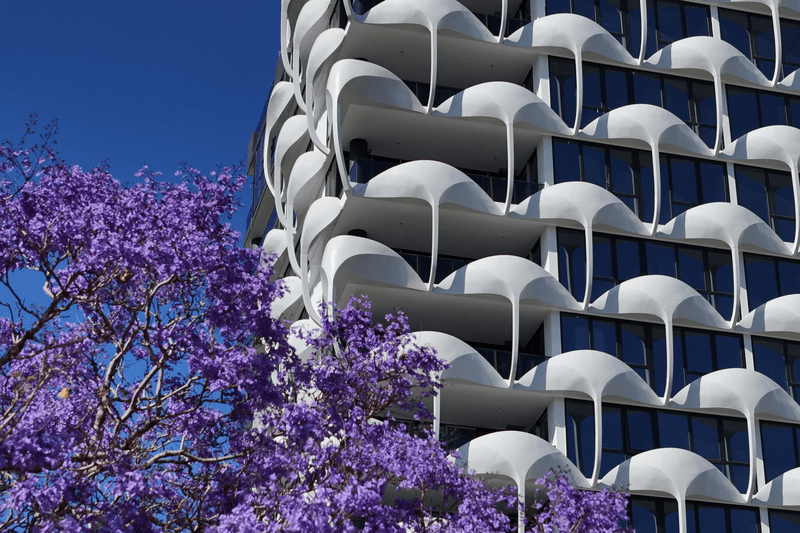 /international/au/447-gregory-terrace-spring-hill-qld-600044888/
