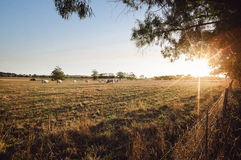 /international/au/59-bloomfield-rd-warragul-vic-600038260/