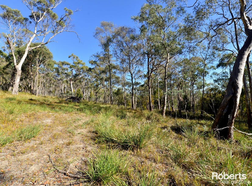 Fentonbury, Tas 7140, Address available on request Land for Sale