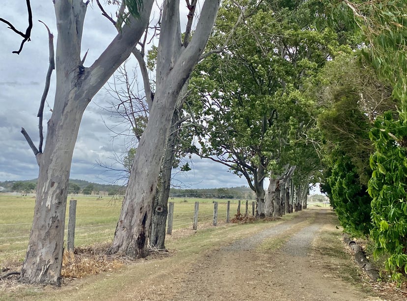 192 Wedel Rd, Alton Downs, Qld 4702 Rural for Sale