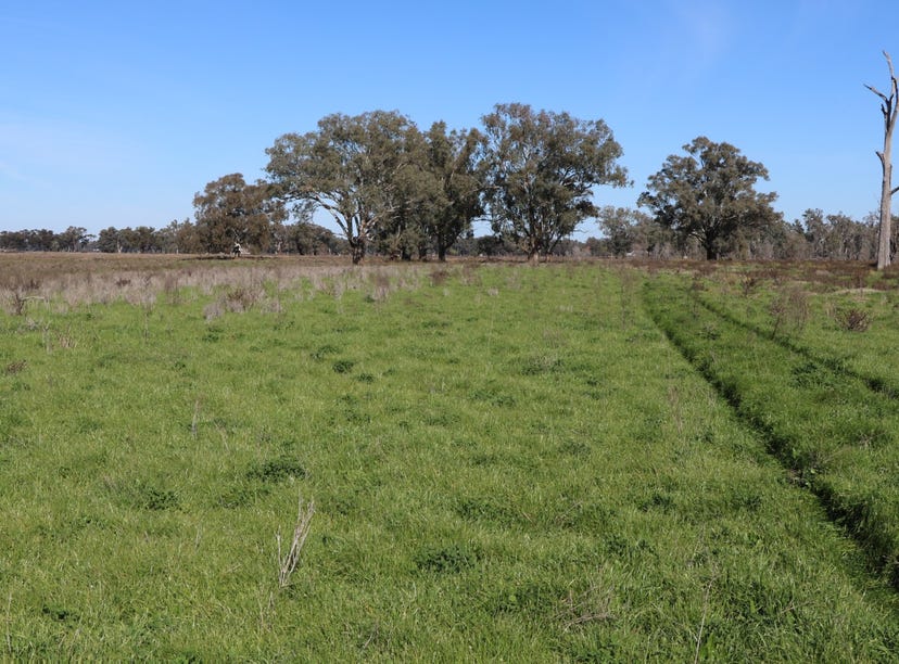 Littles Road, Forbes, NSW 2871 Rural for Sale