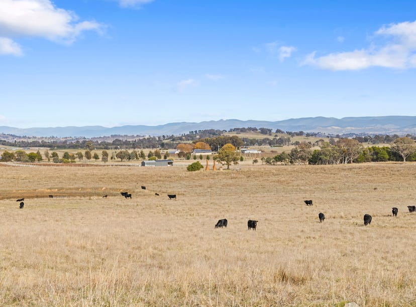 281 Patemans Lane, Murrumbateman, NSW 2582 Rural for Sale
