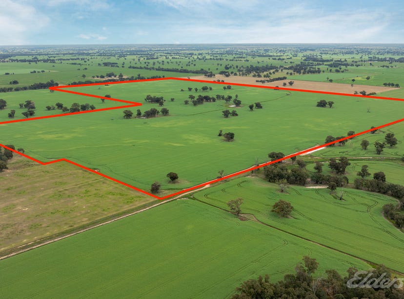  Oliver Road, St James, Vic 3727 Rural for Sale